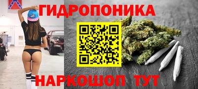 ешки Гусь-Хрустальный