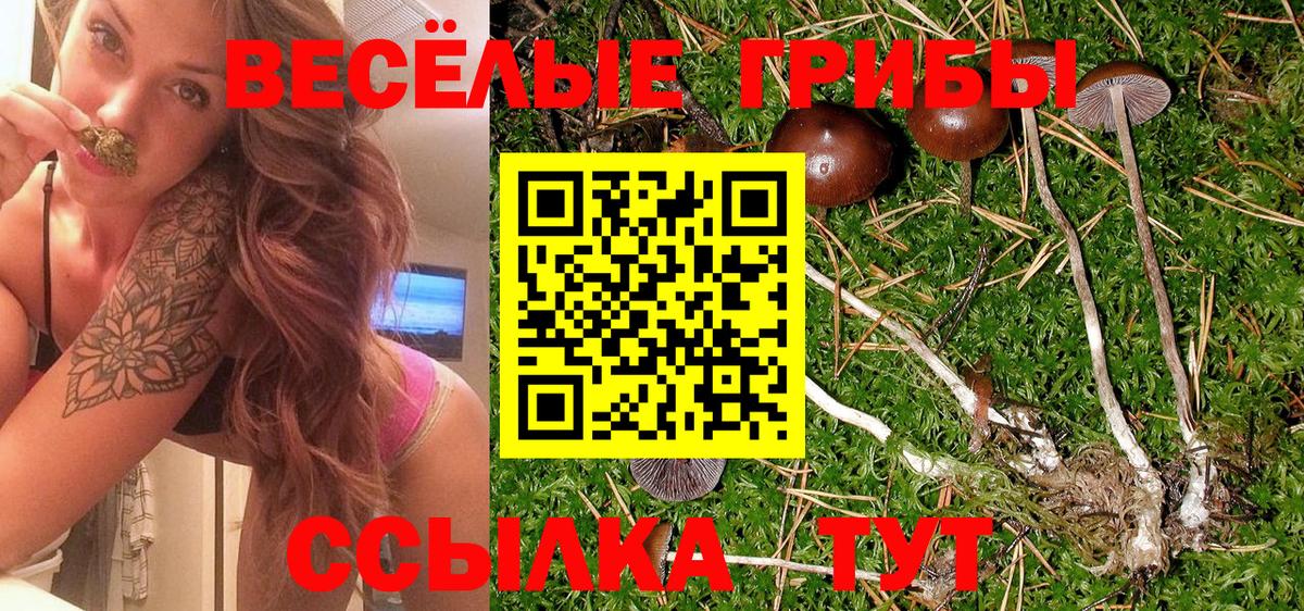 Псилоцибиновые грибы мухоморы  где найти наркотики  Кимры  Вход с VPN  Псилоцибиновые грибы ЛСД 